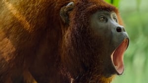 Nonton Film Earthsounds Season 1 Episode 3 Terbaru Nonton Film Earthsounds Season 1 Episode 3 Terbaru
