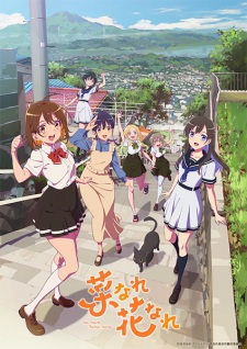 Nonton Film Na Nare Hana Nare – Episode 2 Terbaru Nonton Film Na Nare Hana Nare – Episode 2 Terbaru