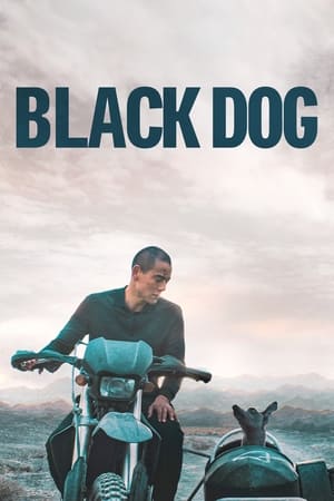 Nonton Film Black Dog (2024) Terbaru Nonton Film Black Dog (2024) Terbaru