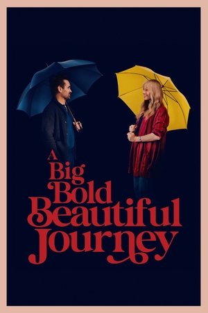 Nonton Film A Big Bold Beautiful Journey (2025) Terbaru