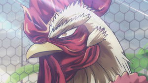 Nonton Film Rooster Fighter Season 1 Episode 1 Terbaru Nonton Film Rooster Fighter Season 1 Episode 1 Terbaru